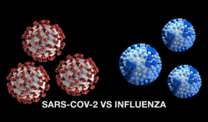 Sars-COV-2 vs Influenza under a microscope